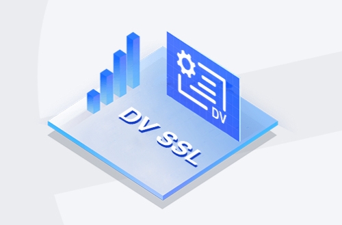 DV通配符域名安全证书